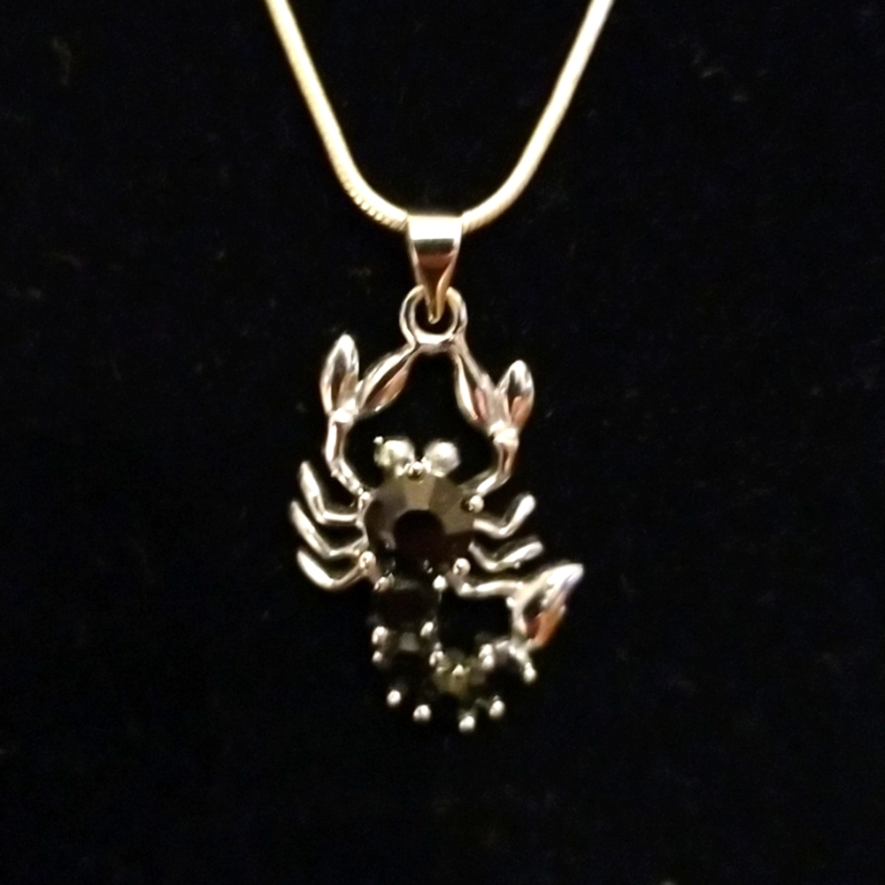 Elegant Silver Scorpion Necklace